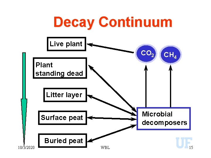 Decay Continuum Live plant CO 2 CH 4 Plant standing dead Litter layer Microbial