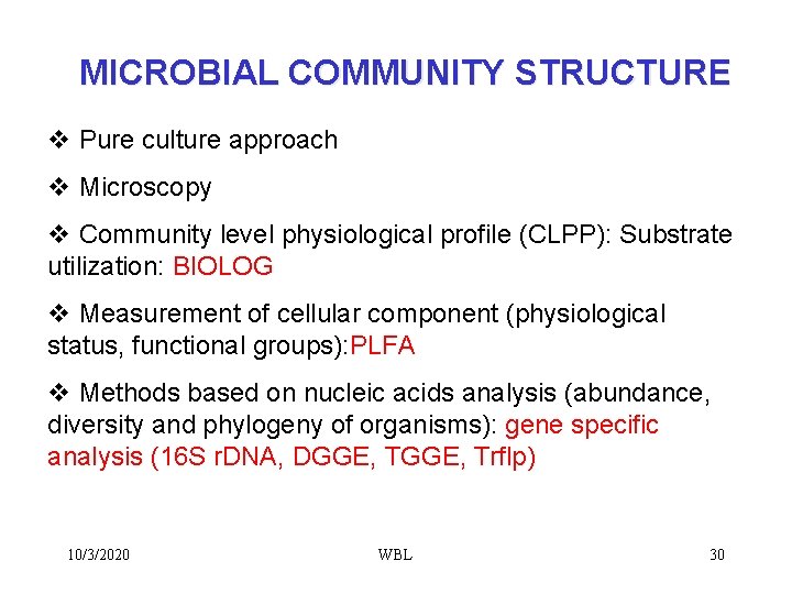 MICROBIAL COMMUNITY STRUCTURE v Pure culture approach v Microscopy v Community level physiological profile