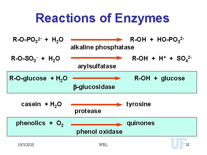 Reactions of Enzymes R-O-PO 32 - + H 2 O R-O-SO 3 - +