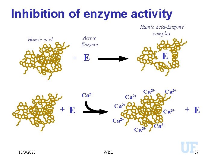 Inhibition of enzyme activity Humic acid-Enzyme complex Active Enzyme Humic acid E + E
