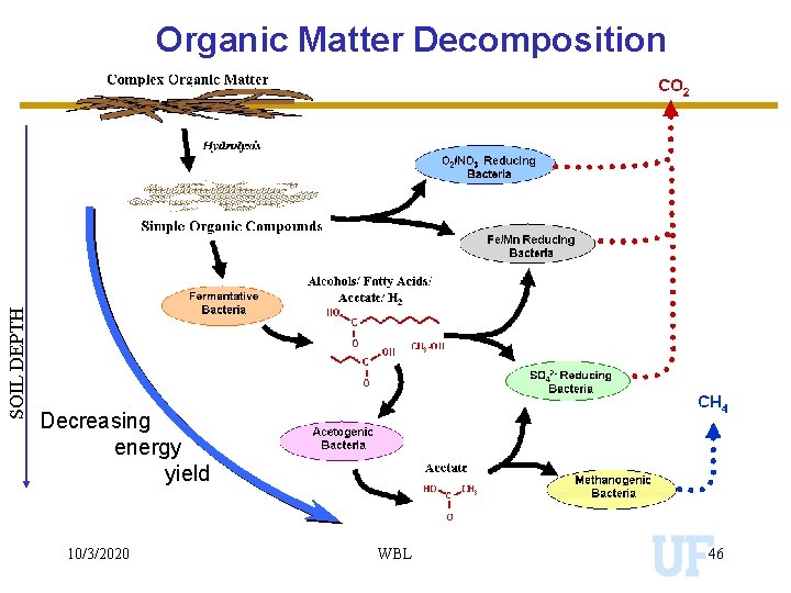 SOIL DEPTH Organic Matter Decomposition Decreasing energy yield 10/3/2020 WBL 46 