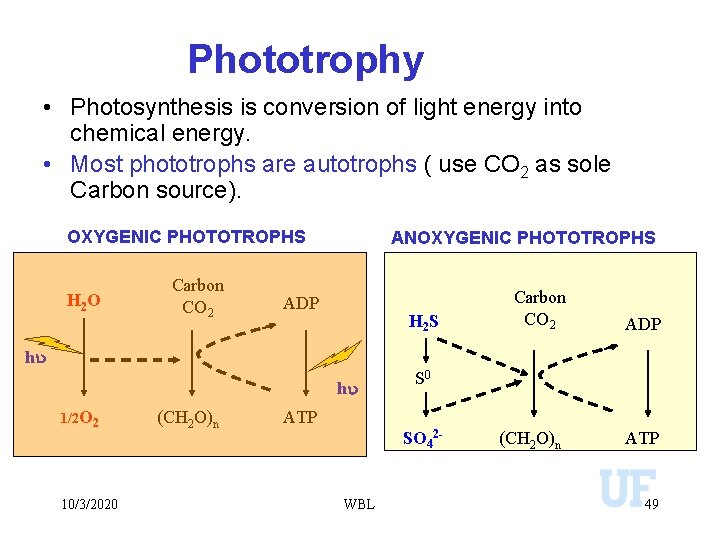 Phototrophy • Photosynthesis is conversion of light energy into chemical energy. • Most phototrophs