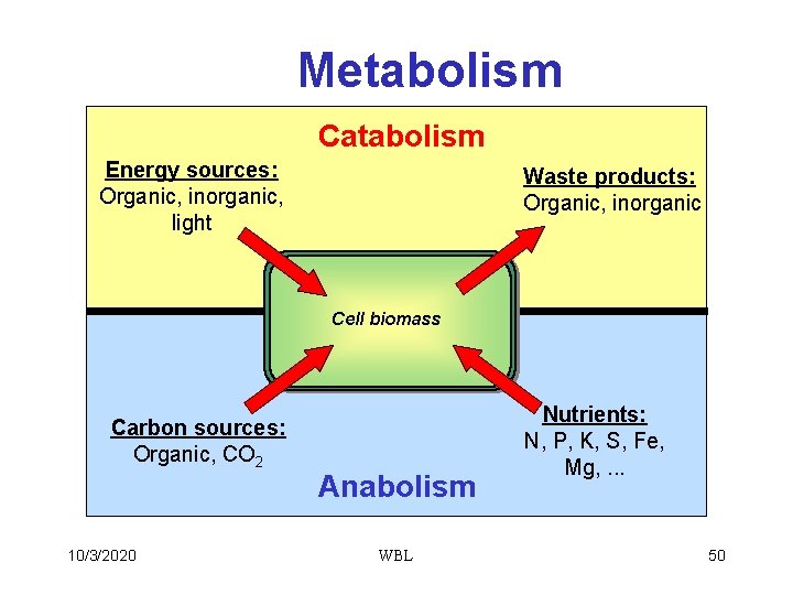 Metabolism Catabolism Energy sources: Organic, inorganic, light Waste products: Organic, inorganic Cell biomass Carbon
