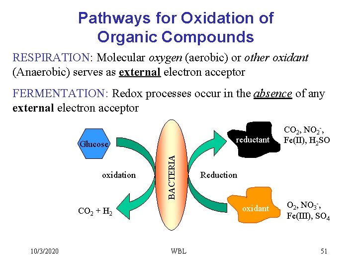 Pathways for Oxidation of Organic Compounds RESPIRATION: Molecular oxygen (aerobic) or other oxidant (Anaerobic)