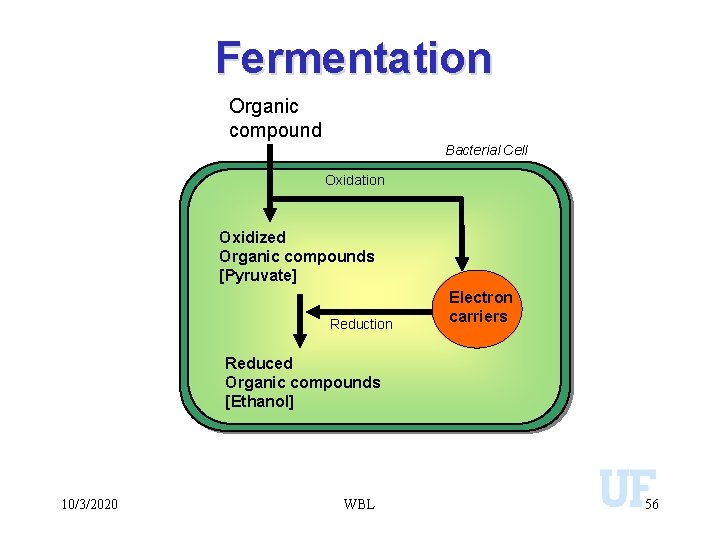 Fermentation Organic compound Bacterial Cell Oxidation Oxidized Organic compounds [Pyruvate] Reduction Electron carriers Reduced