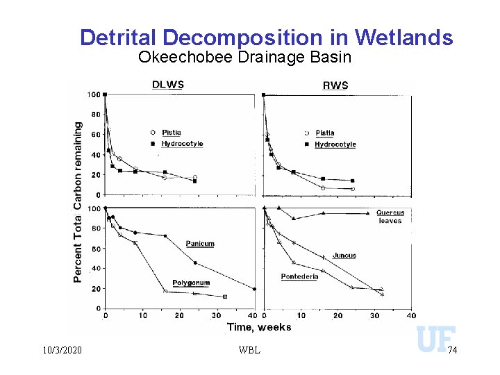 Detrital Decomposition in Wetlands Okeechobee Drainage Basin 10/3/2020 WBL 74 
