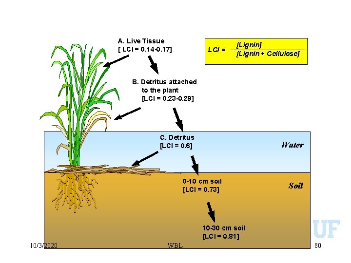 A. Live Tissue [ LCI = 0. 14 -0. 17] LCI = [Lignin] [Lignin