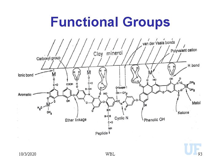 Functional Groups 10/3/2020 WBL 93 