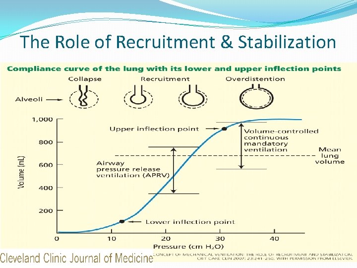 The Role of Recruitment & Stabilization 