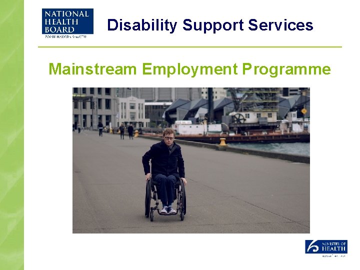 Disability Support Services Mainstream Employment Programme 