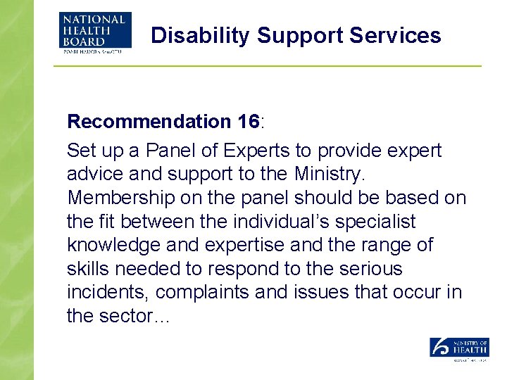 Disability Support Services Recommendation 16: Set up a Panel of Experts to provide expert