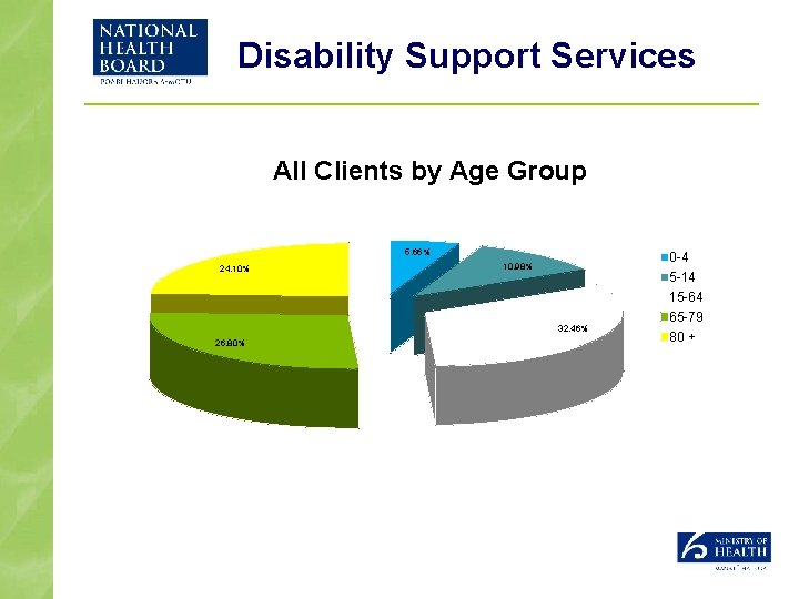 Disability Support Services All Clients by Age Group 5. 66% 24. 10% 10. 98%