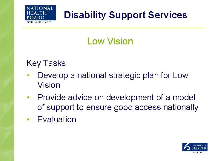 Disability Support Services Low Vision Key Tasks • Develop a national strategic plan for