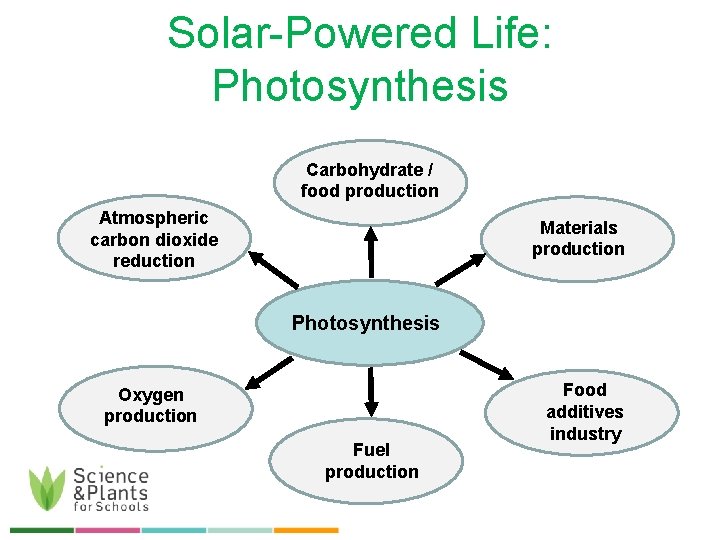 Solar-Powered Life: Photosynthesis Carbohydrate / food production Atmospheric carbon dioxide reduction Materials production Photosynthesis