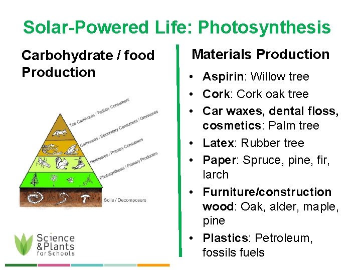 Solar-Powered Life: Photosynthesis Carbohydrate / food Production Materials Production • Aspirin: Willow tree •