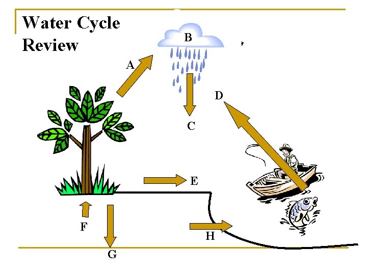 Water Cycle Review B A D C E F H G 