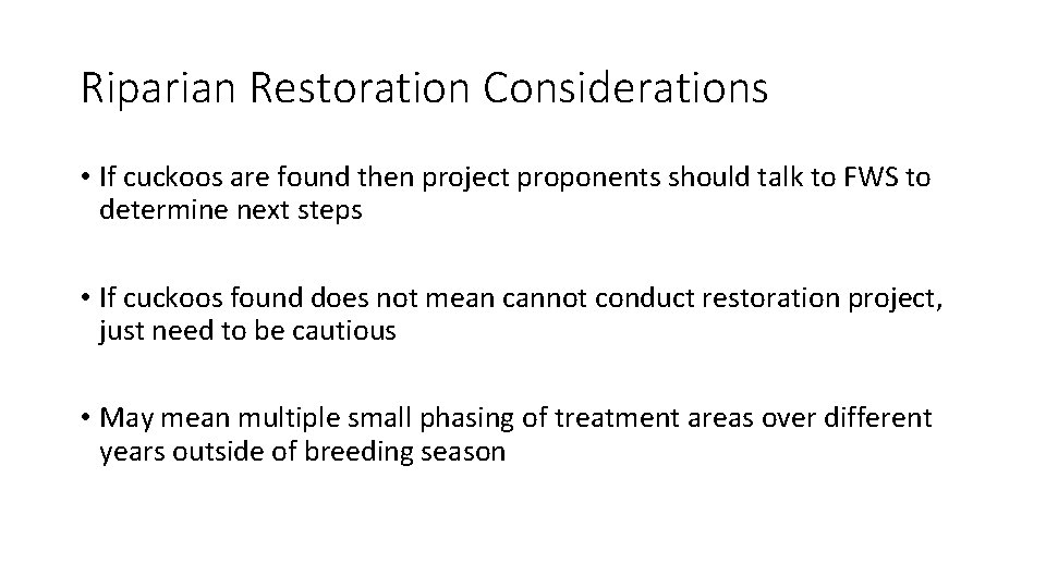 Riparian Restoration Considerations • If cuckoos are found then project proponents should talk to