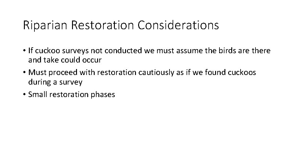 Riparian Restoration Considerations • If cuckoo surveys not conducted we must assume the birds