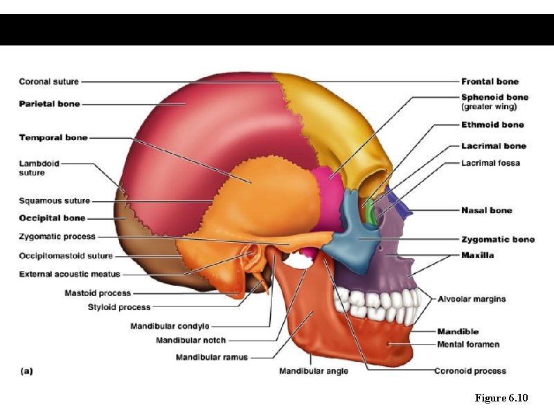 Figure 6. 10 