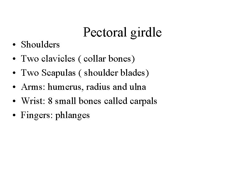  • • • Pectoral girdle Shoulders Two clavicles ( collar bones) Two Scapulas