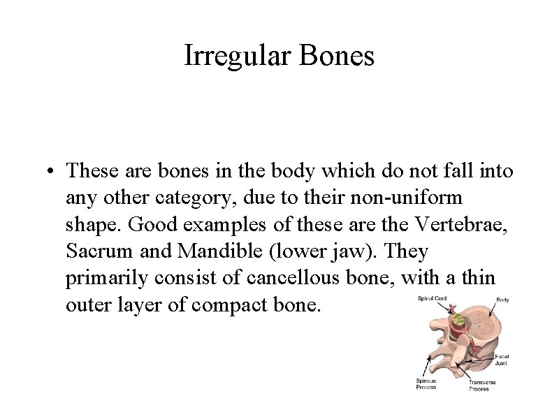 Irregular Bones • These are bones in the body which do not fall into