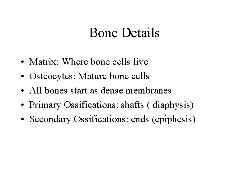 Bone Details • • • Matrix: Where bone cells live Osteocytes: Mature bone cells