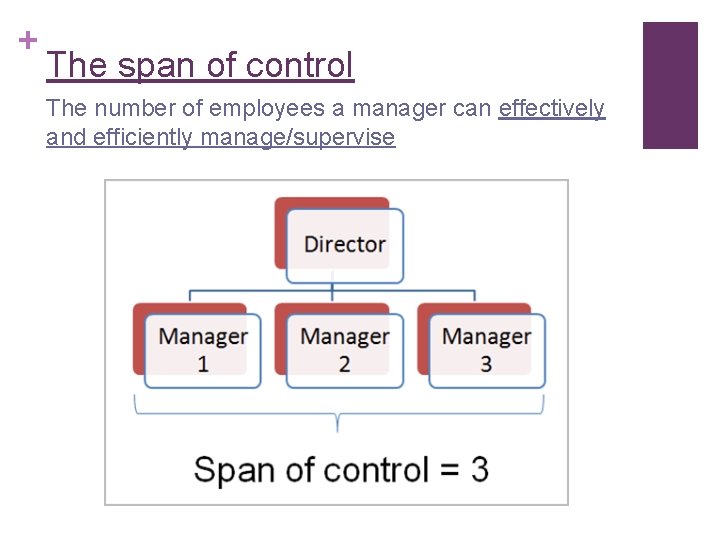+ The span of control The number of employees a manager can effectively and