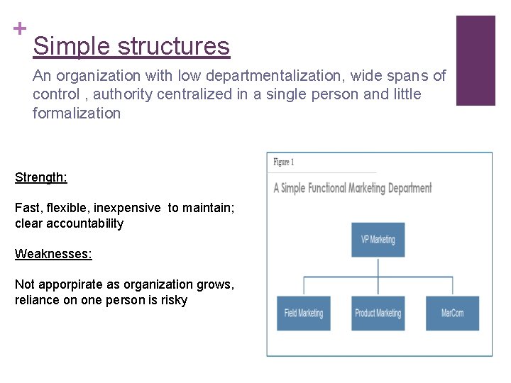 + Simple structures An organization with low departmentalization, wide spans of control , authority