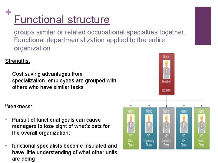 + Functional structure groups similar or related occupational specialties together. Functional departmentalization applied to