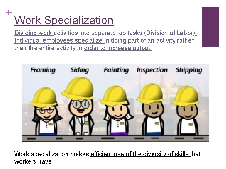 + Work Specialization Dividing work activities into separate job tasks (Division of Labor). Individual