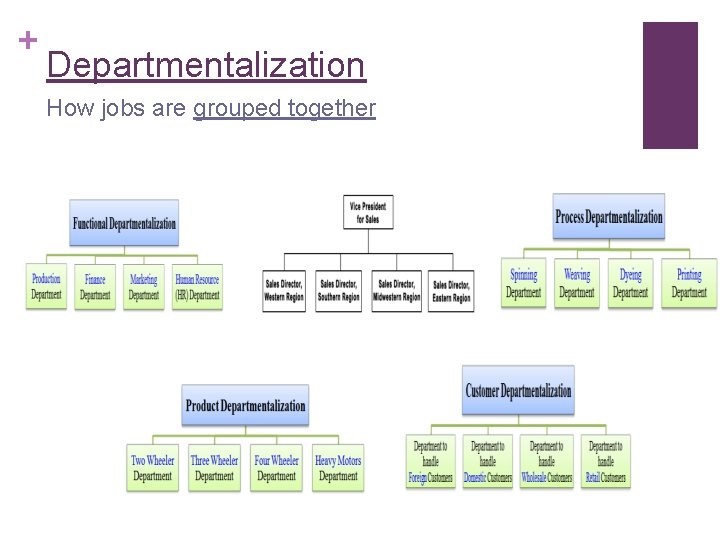 + Departmentalization How jobs are grouped together 