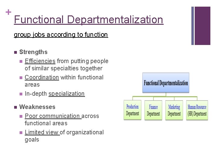 + Functional Departmentalization group jobs according to function n Strengths n Efficiencies from putting