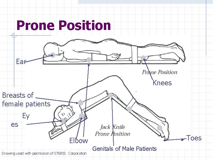 Prone Position Ear Knees Breasts of female patients es Ey Toes Elbow Drawing used