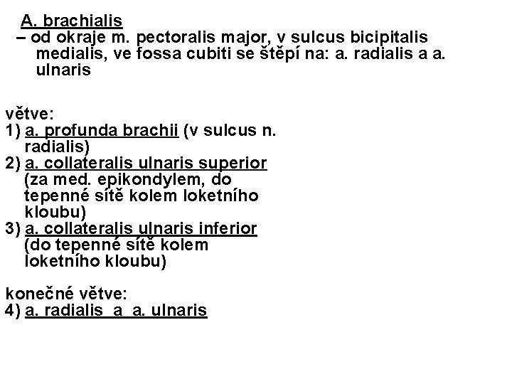 A. brachialis – od okraje m. pectoralis major, v sulcus bicipitalis medialis, ve fossa