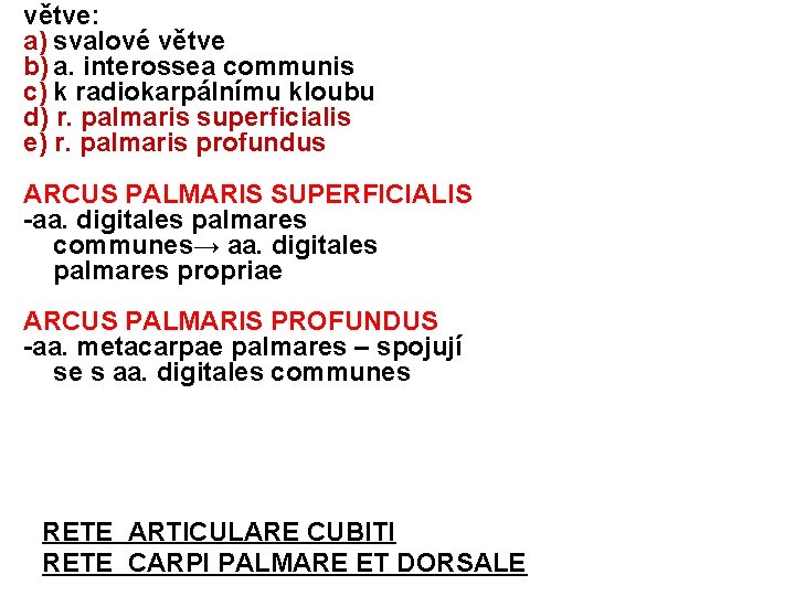 větve: a) svalové větve b) a. interossea communis c) k radiokarpálnímu kloubu d) r.