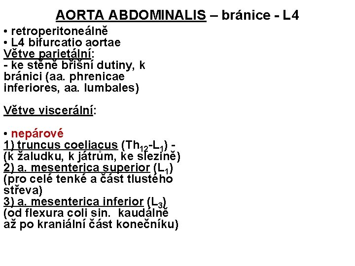 AORTA ABDOMINALIS – bránice - L 4 • retroperitoneálně • L 4 bifurcatio aortae