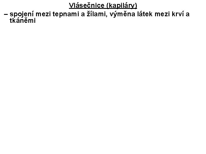 Vlásečnice (kapiláry) – spojení mezi tepnami a žílami, výměna látek mezi krví a tkáněmi