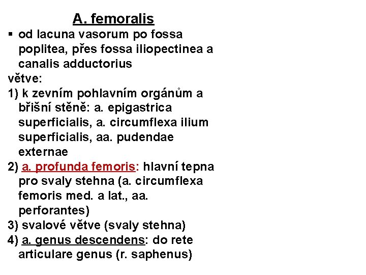 A. femoralis § od lacuna vasorum po fossa poplitea, přes fossa iliopectinea a canalis