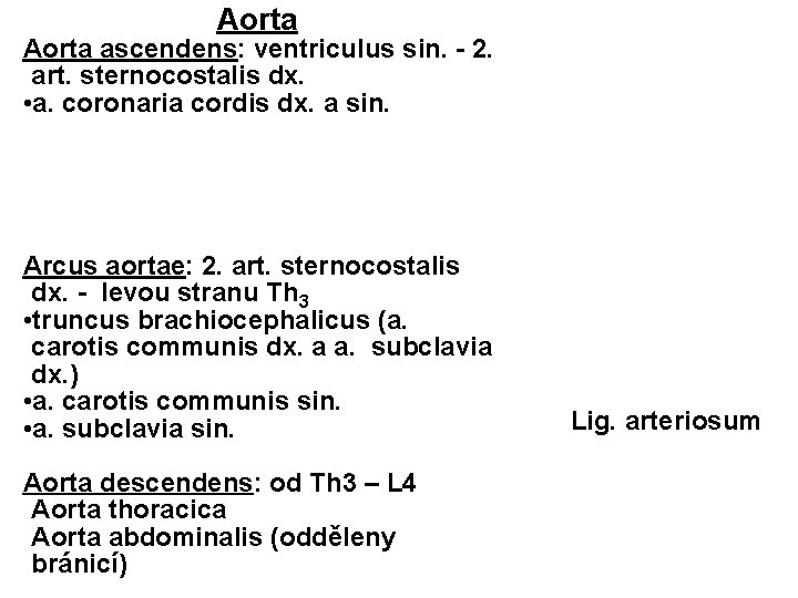 Aorta ascendens: ventriculus sin. - 2. art. sternocostalis dx. • a. coronaria cordis dx.