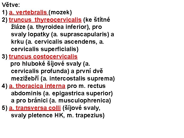 Větve: 1) a. vertebralis (mozek) 2) truncus thyreocervicalis (ke štítné žláze (a. thyroidea inferior),