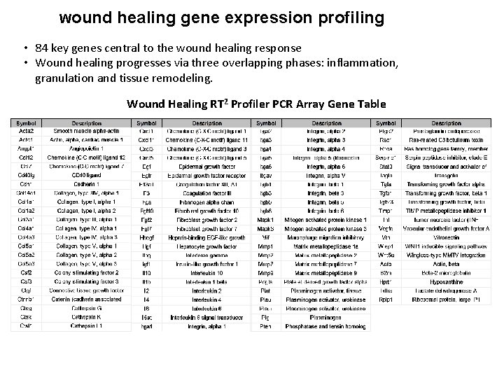 Wound healing gene expression profiling • 84 key genes central to the wound healing
