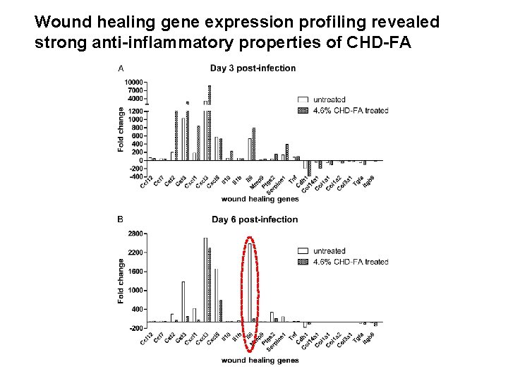 Wound healing gene expression profiling revealed strong anti-inflammatory properties of CHD-FA 