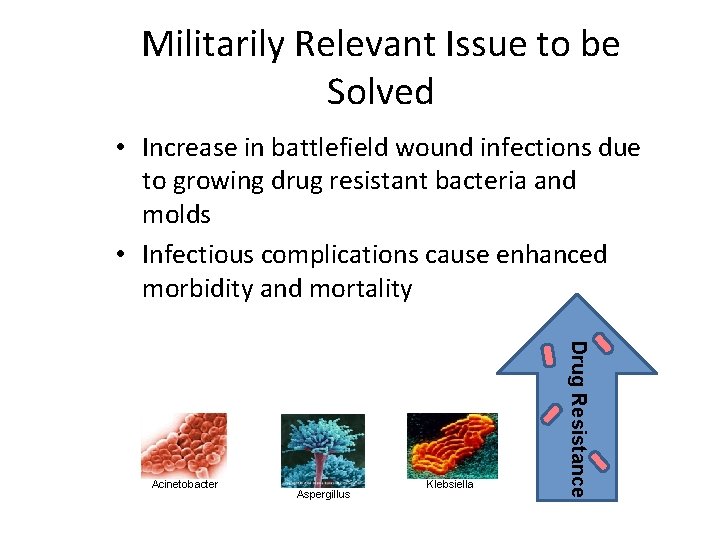 Militarily Relevant Issue to be Solved • Increase in battlefield wound infections due to