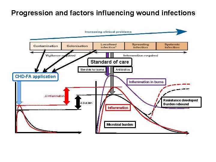 Progression and factors influencing wound infections Standard of care Steroids for burns Antibiotics CHD-FA