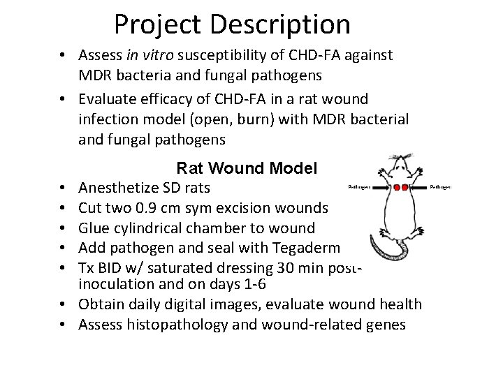 Project Description • Assess in vitro susceptibility of CHD-FA against MDR bacteria and fungal