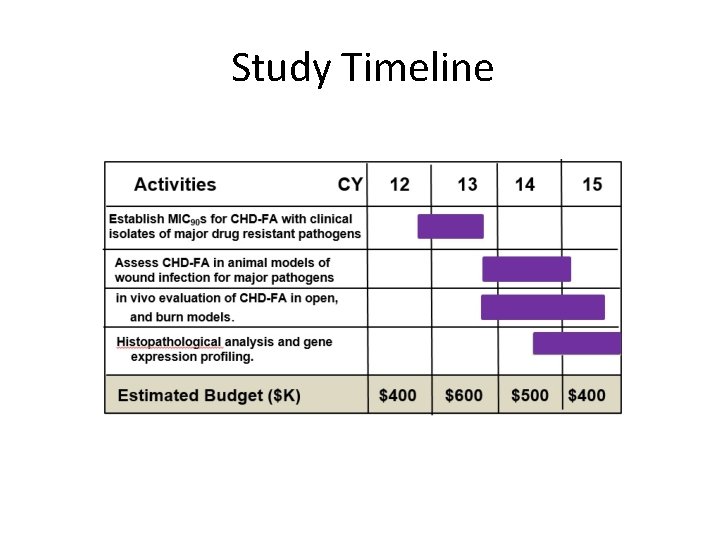 Study Timeline 