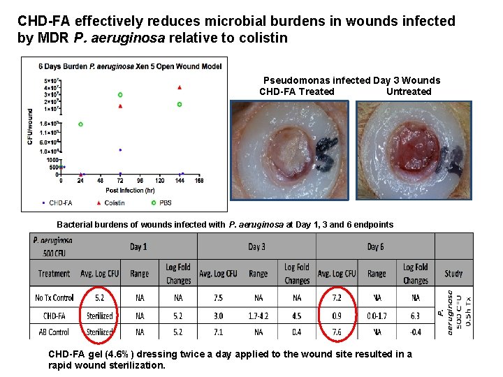 CHD-FA effectively reduces microbial burdens in wounds infected by MDR P. aeruginosa relative to