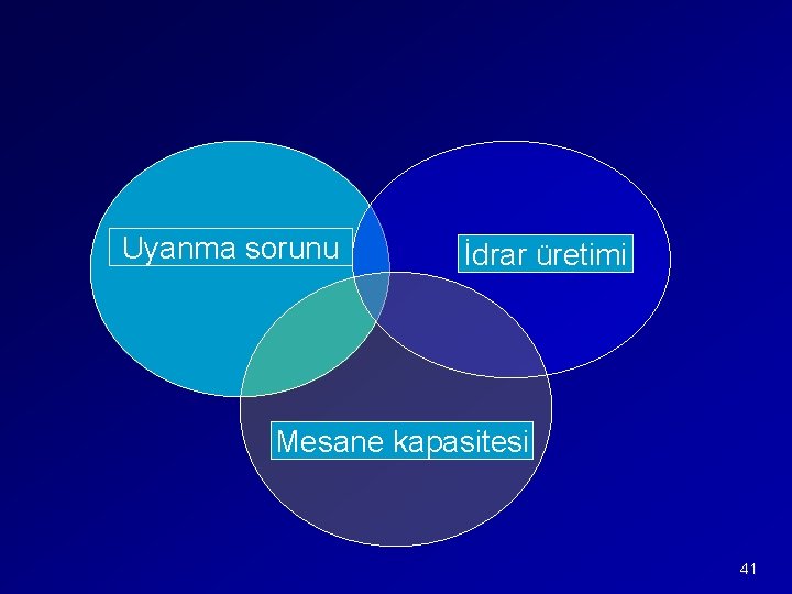 Uyanma sorunu İdrar üretimi Mesane kapasitesi 41 