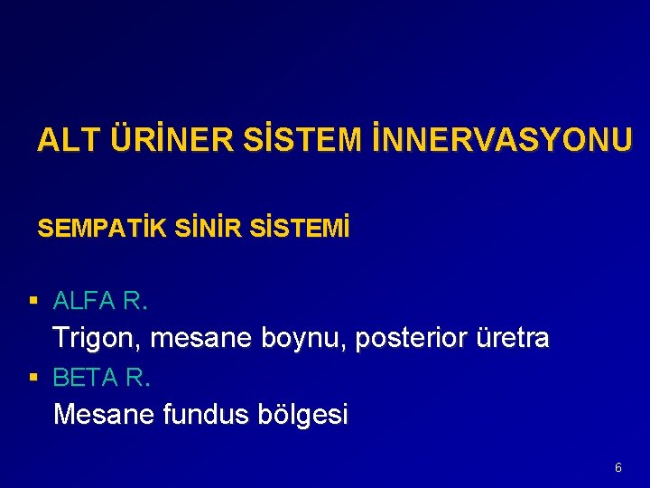 ALT ÜRİNER SİSTEM İNNERVASYONU SEMPATİK SİNİR SİSTEMİ § ALFA R. Trigon, mesane boynu, posterior