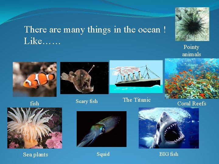 There are many things in the ocean ! Like…… fish Sea plants Scary fish